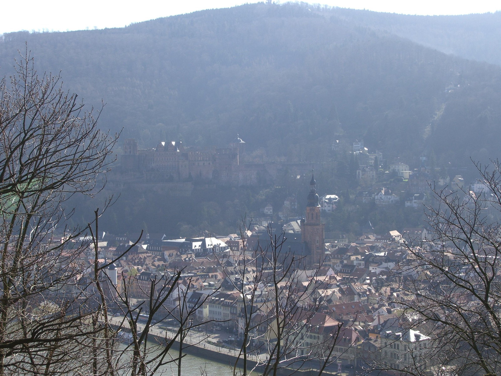 Heidelberg Castle Altstadt